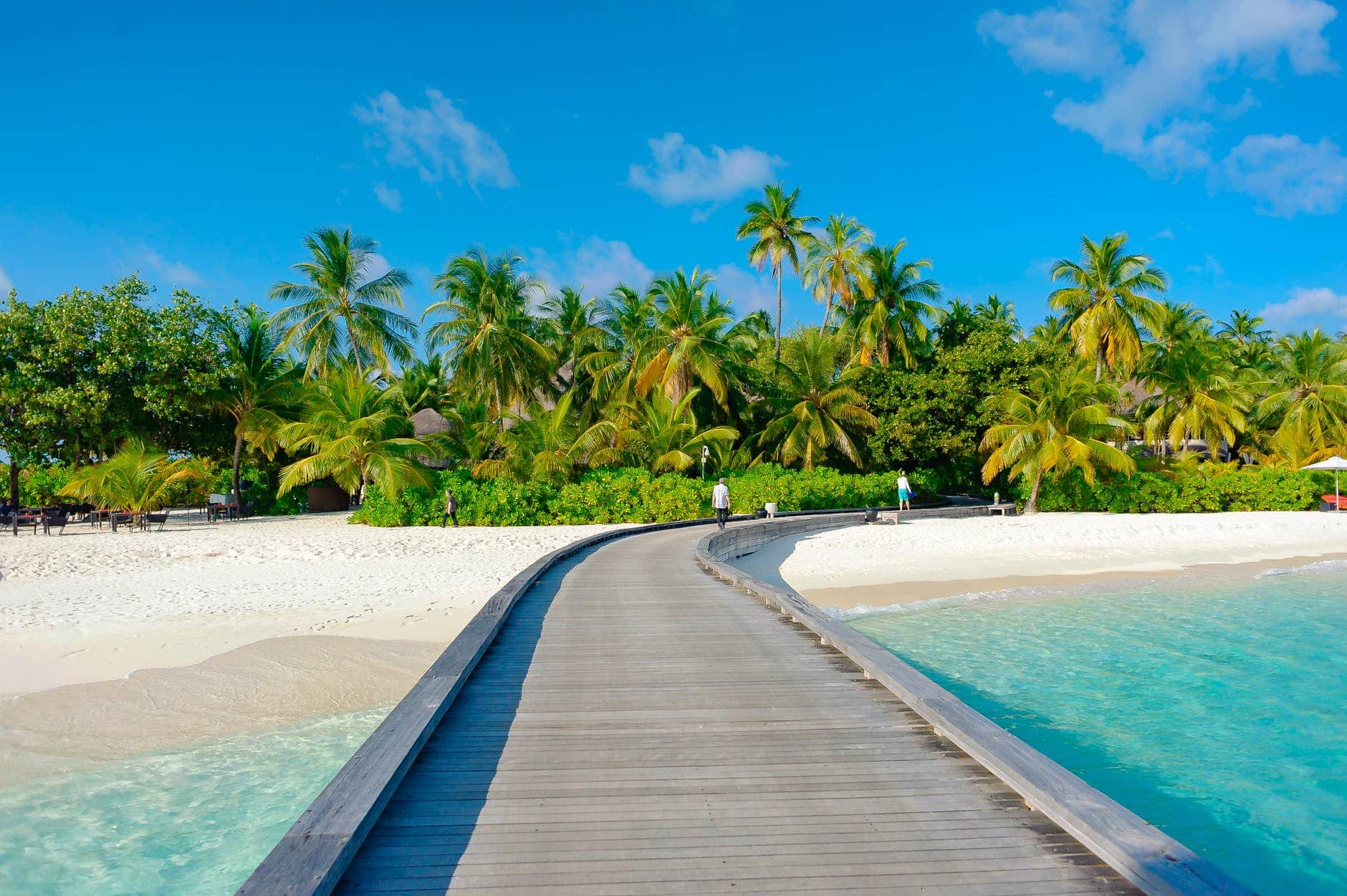 plage ponton eau turquoise sable blanc palmiers cocotiers ciel bleu Bahamas