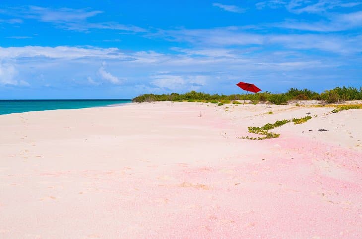 Pink Beach, Barbuda /  source photo surface-traveler.com