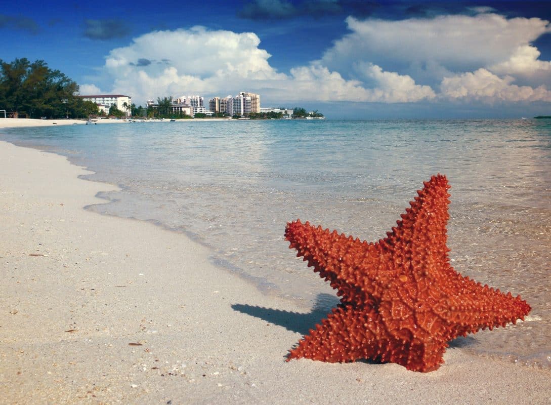 Voyage Plage avec une étoile de mer Bahamas