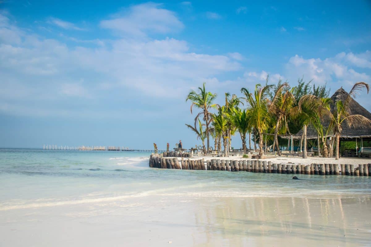 Photo d'une plage de Zanzibar avec des cocotiers en arrière plan belle destination pour une lune de miel