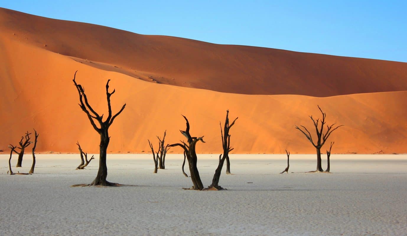 Photo du désert de Namibie belle destination de lune de miel